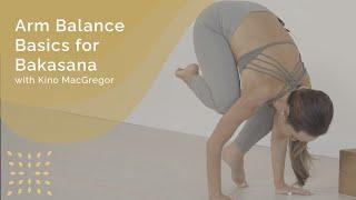 Arm Balance Basics for Bakasana with Kino MacGregor