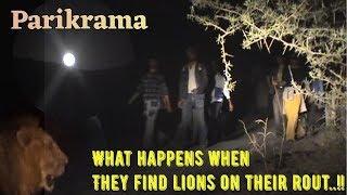 LIONS AND GIRNAR PARIKRAMA | DEVOTIONAL VALUE WITH WILDLIFE | LION PROTECTION