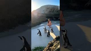 Places on Earth that don't feel Real  Part-46  #travel #shorts #nature #adventure #explore #4k