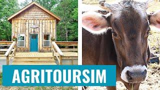 See How Agritourism is Transforming Local Farms and Boosting Entrepreneurship!