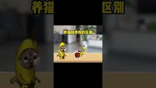 #猫meme小剧场 #猫meme #猫meme搞笑剧情 #猫meme剧场