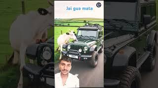 #cow #animals #automobile #pets #animalsong #funny #comedy  @ShivantMehra-z3y