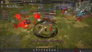 BDO Warrior PVP // Vangertz