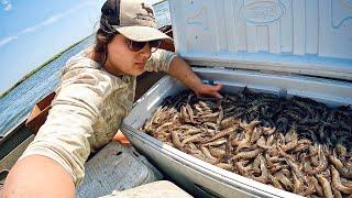 Catching LOADS of Louisiana SHRIMP | Trawling with 16ft Net