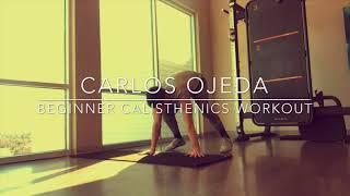 BEGINNER CALISTHENICS WORKOUT (P.1) - Carlos Ojeda