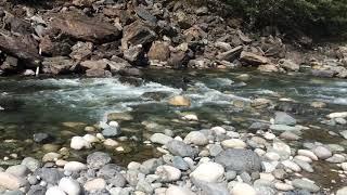 Snorkel Survey - Coquihalla River