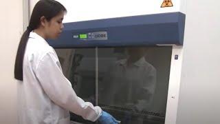 Labculture® Class II Biosafety Cabinet LA2 G2 | Esco Lifesciences Group