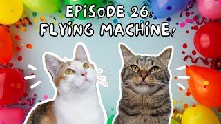 Cat Conversations with Chip & Biskit | Ep. 26: Flying Machine