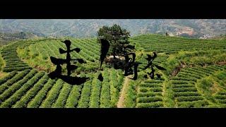 “Enjoy the Tea!” - Chinese Tea Culture Documentary