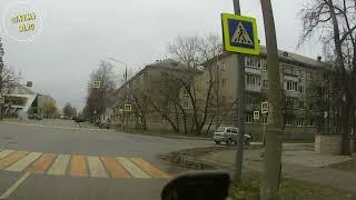 Лось на пешеходном переходеElch am FußgängerüberwegMoose on a pedestrian crossing#CinemaBlag