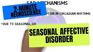 2-Minute Neuroscience: Seasonal Affective Disorder