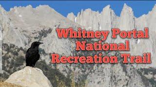 Lone Pine Campground To Whitney Portal | The National Recreation Trail | 4K