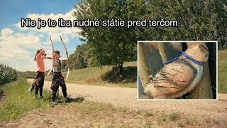 3D lukostreľba - 3D archery - šport pre celú rodinu