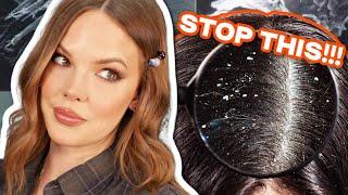 THE BEST SHAMPOOS and CONDITIONERS TO KEEP THE HAIR AND SCALP HEALTHY!!!