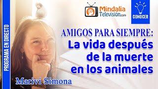 La vida después de la muerte en los animales, por Marivi Simona