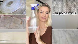 This Blend Was Great | Clean All Your Household Items