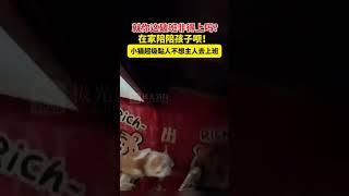 极光新闻