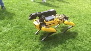 Boston Dynamic robot dog at MARS 2018
