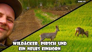 Wildäcker, Pirsch und ein neues Einhorn / RevierLeben // Vlog 70