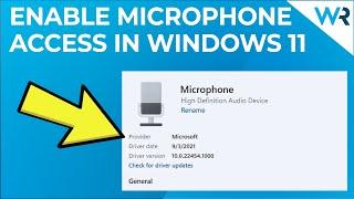 How to Enable Microphone Access in Windows 11