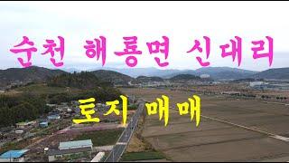 순천부동산 순천시  해룡면 신대리 토지 매매(순천 소망부동산)