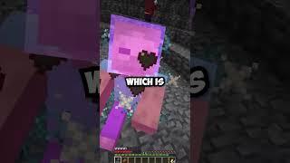 A Mob Only in Minecraft Dungeons | Mod is Enchant With Mob