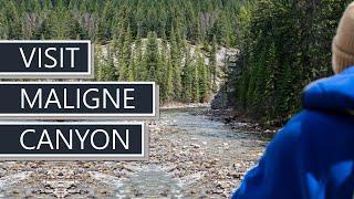 Maligne Canyon with Walks and Talks Jasper | Our First Van Life Adventure