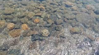 Common Beach, Lake Tahoe