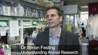 Why do we use animals in research?