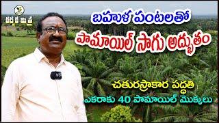 ఎకరం పామాయిల్ తోటలో  5 రకాల పంటలు || Best Method in Oil Palm Farming || Karshaka Mitra #agriculture