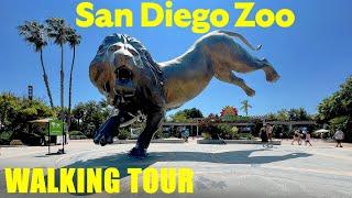 San Diego Zoo Walking Tour 2024 - Full Walkthrough