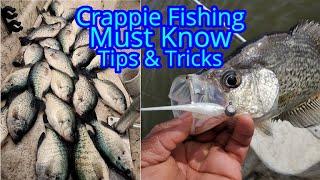Crappie Fishing Tips That Work - How To Find And Catch Crappie