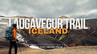 Silent Hiking on Iceland’s Laugavegur Trail | A Journey with Unexpected Challenges ️