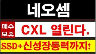 네오셈, CXL시장 드디어 개화! SK하이닉스 고객인증 완료! SSD시장도 호황인데 CXL시장까지 열리면 주가 상승은 당연! #CXL테마