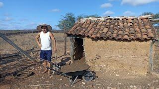 olha o que vamos fazer nas plantas do nosso quintal ( parte 1 )