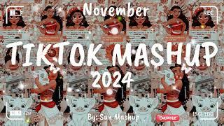 Tiktok Mashup November 2024 (Not Clean)