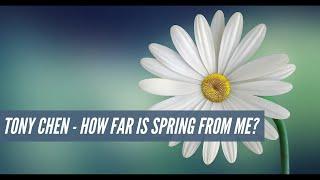 [Beautiful Music] - Tony Chen - How Far Is Spring From Me | Music Arrangement Service