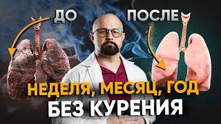ЧТО БУДЕТ, ЕСЛИ РЕЗКО БРОСИТЬ КУРИТЬ? Неделя, Месяц, Год без сигарет. Как бросить курить?