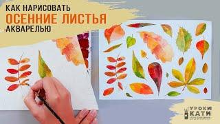 Как нарисовать осенние листья акварелью, пошаговый урок для детей от 6 лет и взрослых