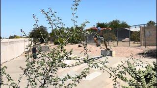 Canal Bike Ride and Skate Session