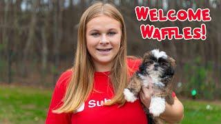 Assistant Welcomes Waffles into TheEngineeringFamily with Wiggles and Waggles