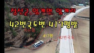 정선군 임계면 임계리 국도변 417평 밭 매매(정선임계부동산)