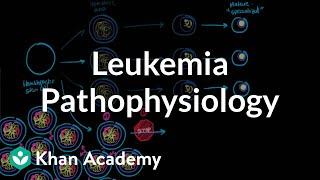 Leukemia pathophysiology | Hematologic System Diseases | NCLEX-RN | Khan Academy
