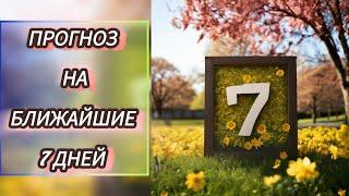 1 вариант. Прогноз на ближайшие 7 дней.