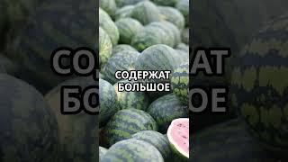 Почему они разрушают арбузы  
