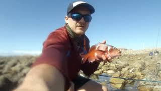 Fishing Knysna- Scratching of the rocks at Buffels Bay