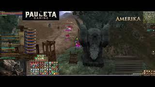 Lineage 2 Amerika- PvP Zone - 21/11/2024 - Pauleta Gaming POV