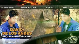 DAVID DE LOS ANDES " CONCIERTO" QUICHUA PRODUCCIONES