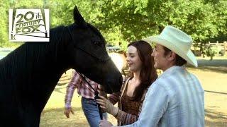 Flicka: Country Pride - Meet Flicka | 20th Century FOX