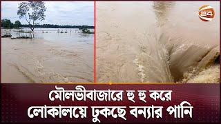 মৌলভীবাজারে হু হু করে লোকালয়ে ঢুকছে বন্যার পানি | Moulvibazar | Flood | Channel 24